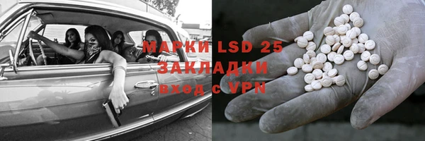 PSILOCYBIN Богданович