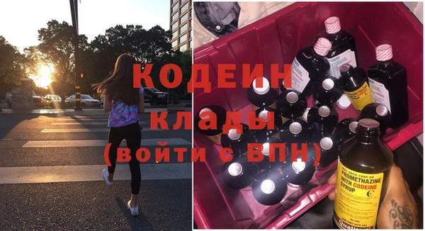 дживик Богородицк