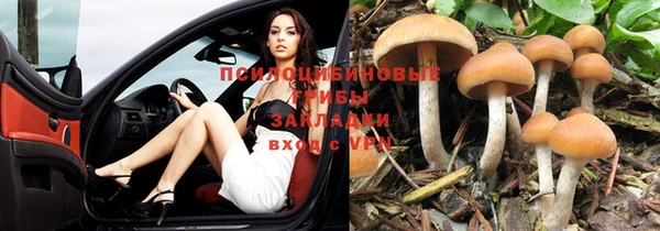 PSILOCYBIN Богданович