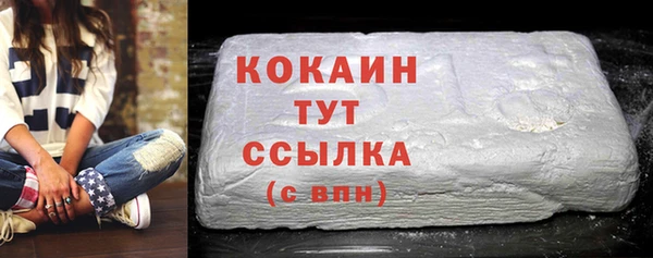 PSILOCYBIN Богданович